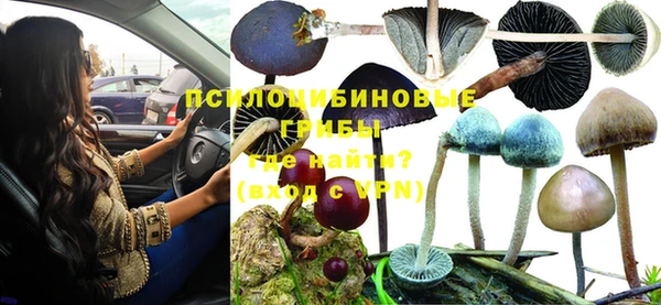амф Абинск