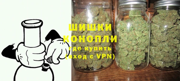 индика Горняк