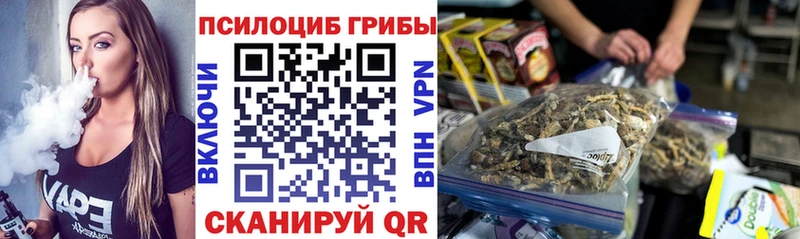 Псилоцибиновые грибы Cubensis  Пучеж 